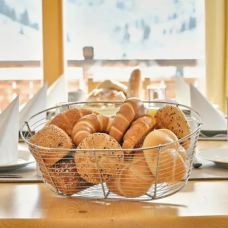 库苔阿尔卑斯旅馆 4*