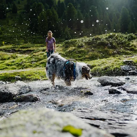 Alpinlodges