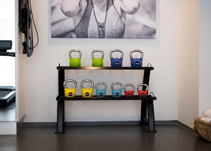 库苔阿尔卑斯旅馆 公寓式酒店 4*